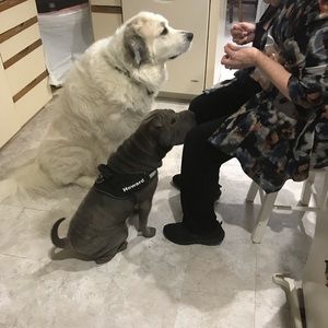 Meet your Posher, Michael